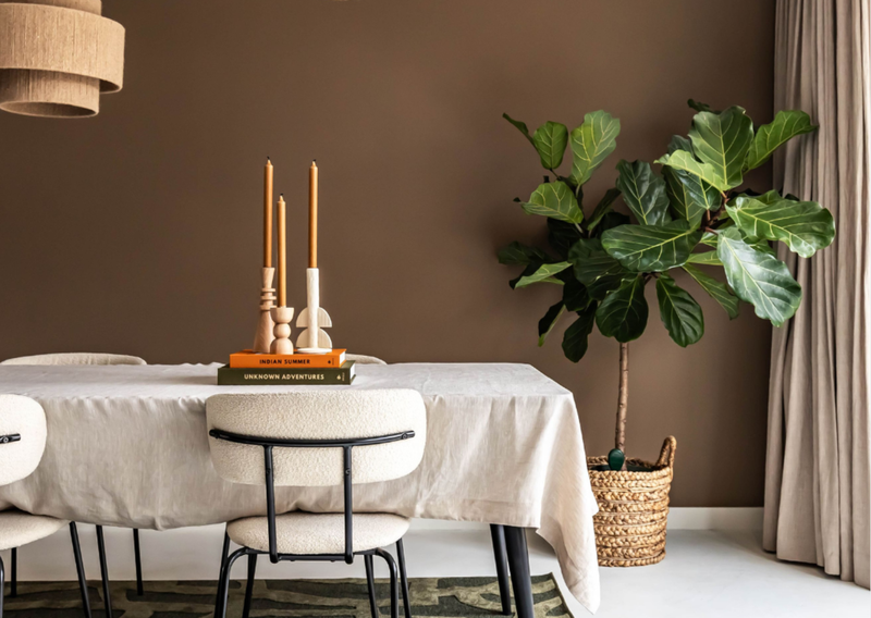 Pleje af ficus verzorging - Green Bubble