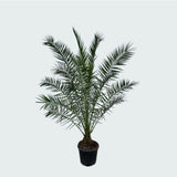 Product afbeelding 3