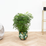 Product afbeelding 1