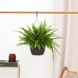 Product afbeelding 1