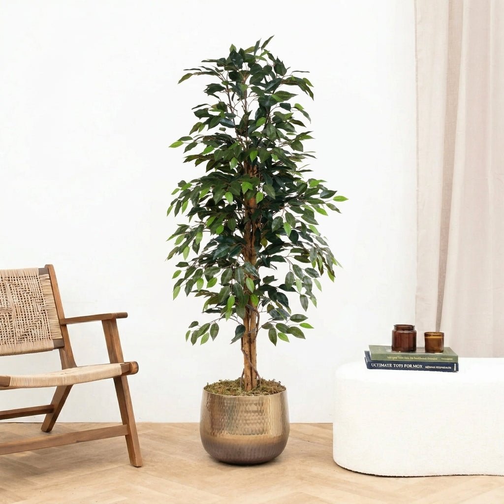 Kunstpflanze Ficus Benjamina - 160cm