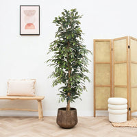 Kunst Ficus Benjamina - 205cm