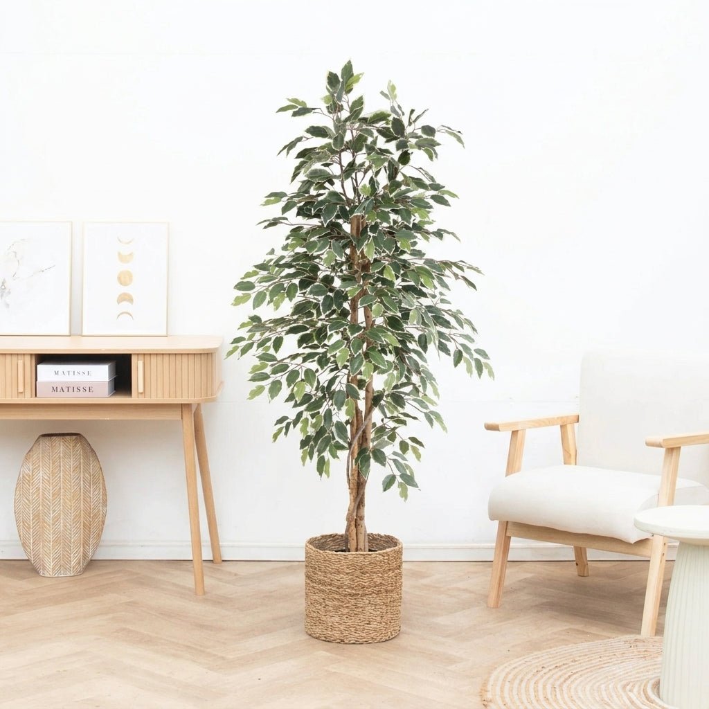 Kunstpflanze Ficus Benjamina Variegata - 160cm