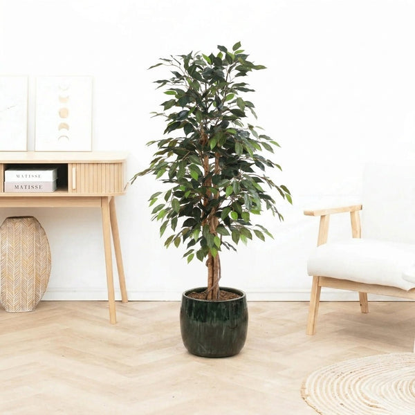 Kunst Ficus Benjamina - 130cm