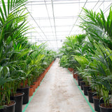 Product afbeelding 6