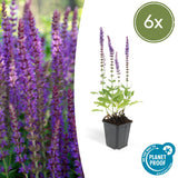 Product afbeelding 7