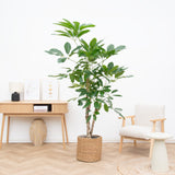 Product afbeelding 1
