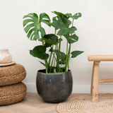 Product afbeelding 1
