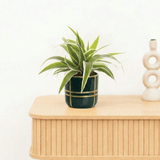 Product afbeelding 1