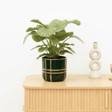 Product afbeelding 1