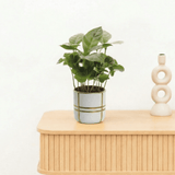 Product afbeelding 1