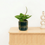 Product afbeelding 1