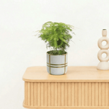 Product afbeelding 1