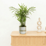 Product afbeelding 1