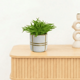 Product afbeelding 1