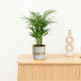 Product afbeelding 1