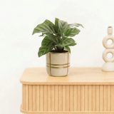Product afbeelding 1