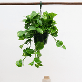 Product afbeelding 1