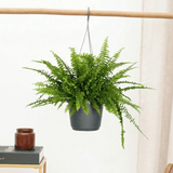 Product afbeelding 1