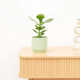 Product afbeelding 1