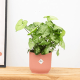 Product afbeelding 1