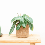 Product afbeelding 1