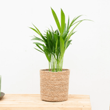 Product afbeelding 1