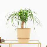 Product afbeelding 1
