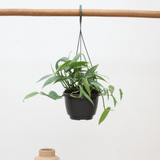 Product afbeelding 1