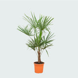 Product afbeelding 3
