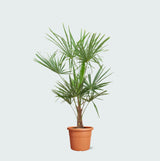 Product afbeelding 1