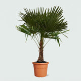 Product afbeelding 1