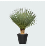 Product afbeelding 2