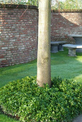 Product afbeelding 4