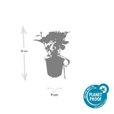 Product afbeelding 5