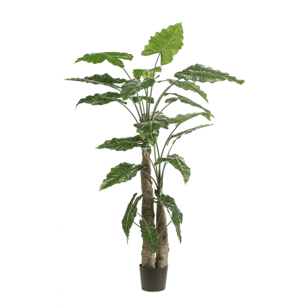 Alocasia Calidora Kunstplant - 180 cm