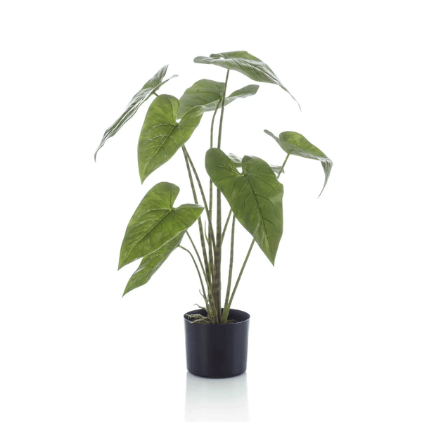 Alocasia Zebrina Kunstplant - 75 cm