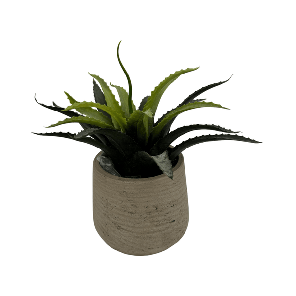 Aloë Vera met pot Kunstplant - 20 cm