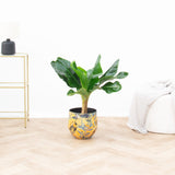 Product afbeelding 3