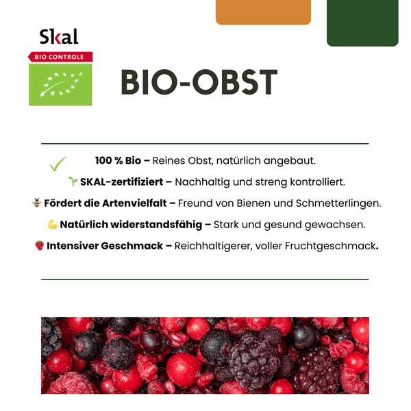 Biologische kruisbessenplanten - 20 cm