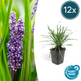 Product afbeelding 7