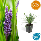 Product afbeelding 10