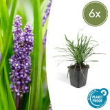 Product afbeelding 1