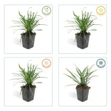 Product afbeelding 4