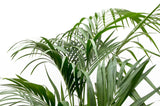 Product afbeelding 3