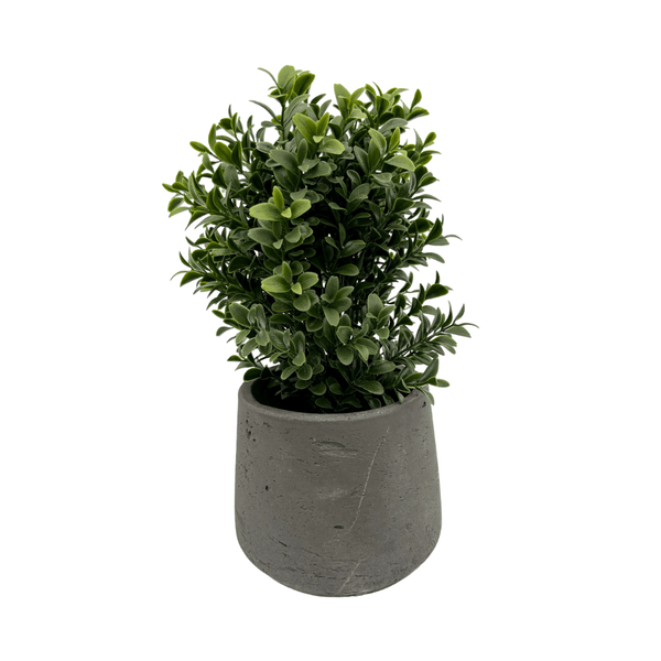 Buxus plant Kunstplant - 20 cm