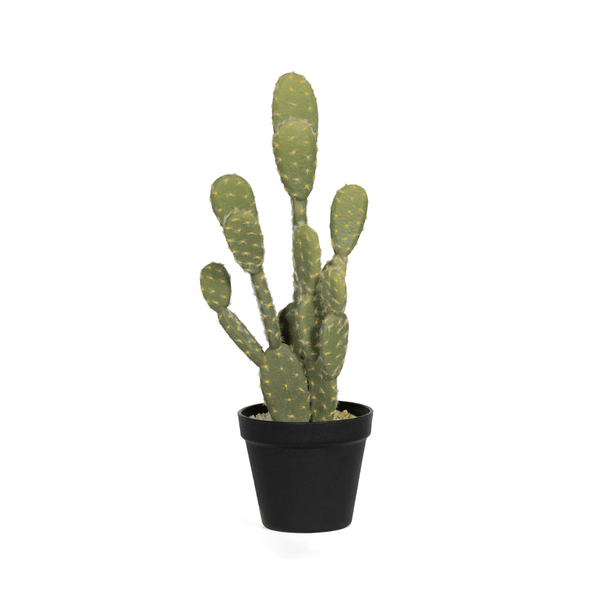 Kunst Cactus Opuntia - 41 cm