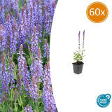 Product afbeelding 10