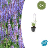 Product afbeelding 1