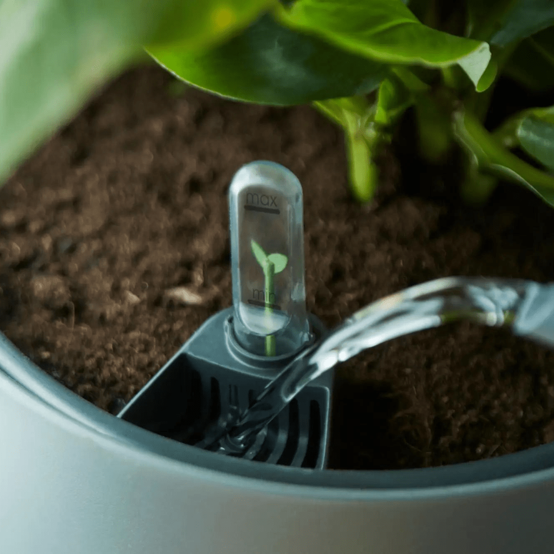 self watering plant insert Self watering insert black